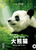 《神秘探险：构建一个吸引人的故事背景》